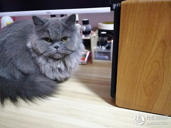 漫步者r1000tc北美版音频线,漫步者R1000TC北美版音箱