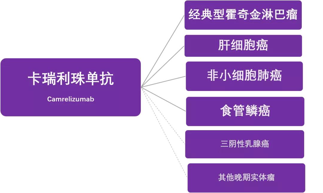 国产“广谱”抗癌药进入医保!PD-1到底能治什么病?