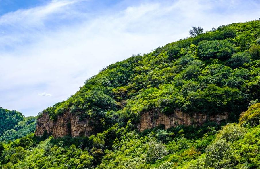 老象峰为什么是爬山踏青好去处？形似“大象”的山峰