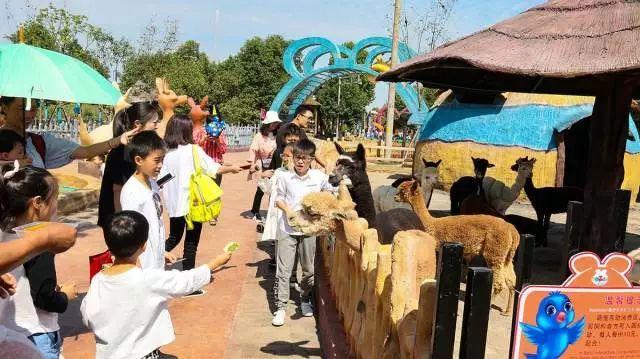 田园嘉乐比-国庆献豪礼！乐园超值游玩攻略