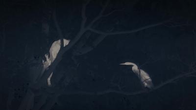 夜半*拍偷**下,成就今年第一部神级纪录片:黑暗下的生命,超乎想象