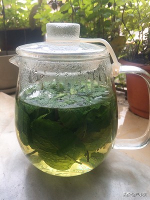 三伏天太热了教你自制解暑清凉茶,薄荷解暑茶
