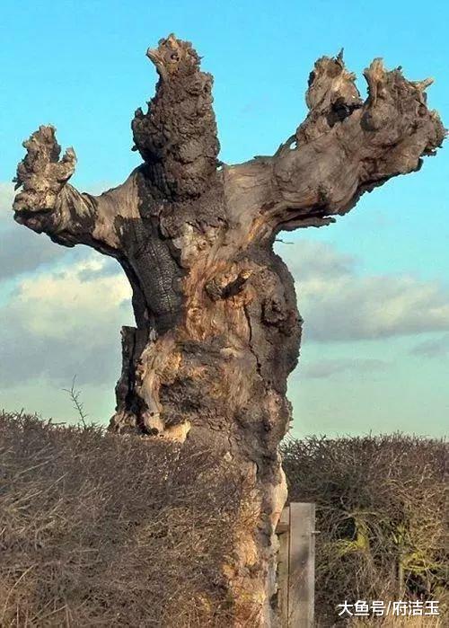 50张世界级照片赶快来看,壮观40张顶级照片