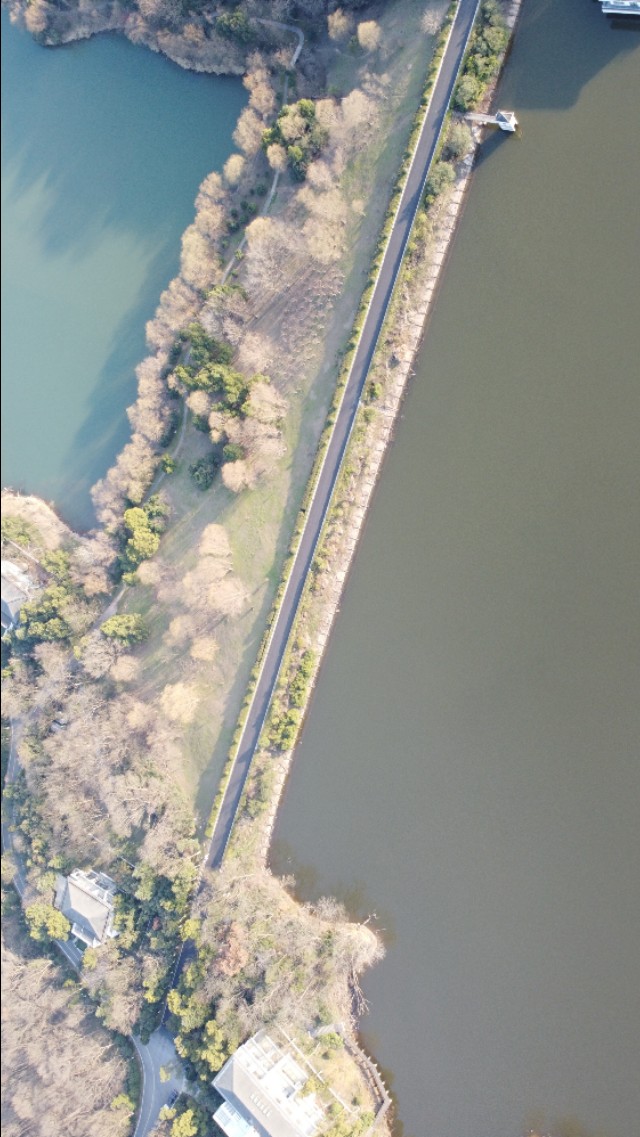 南京紫金山庄酒店,南京紫金山庄