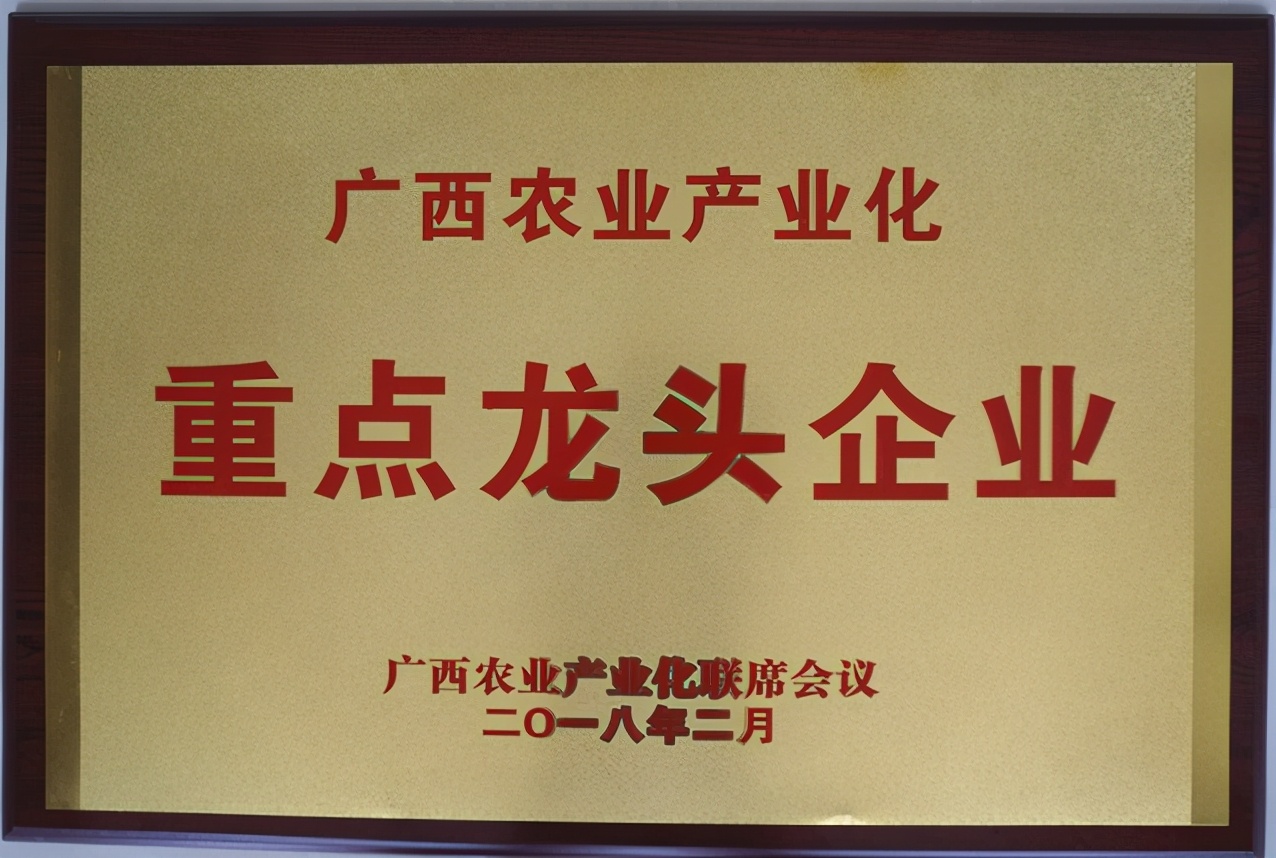 广西禾美农业有限公司,广西禾美生态农业