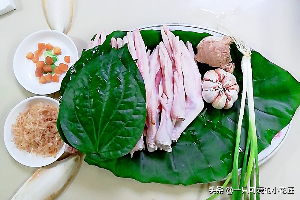 农村常见的蛤蒌叶（假蒌叶），是广东炒田螺必备调料，香味独特