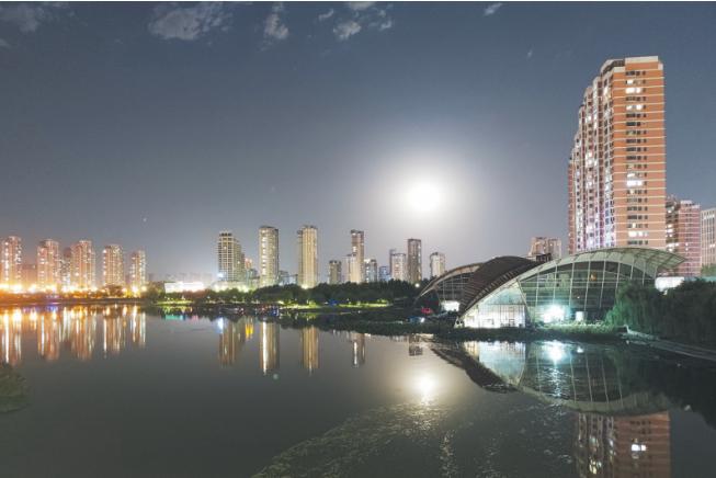 奋起直追创新高,奋起直追成为黑马