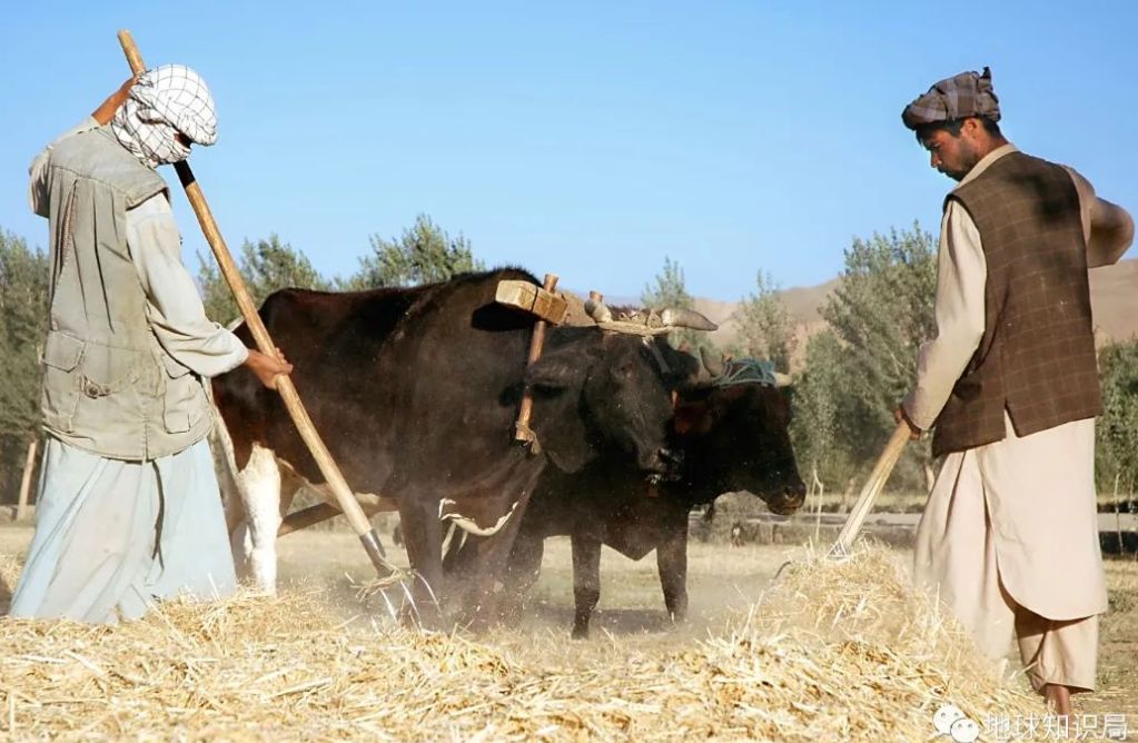 美国和苏联为什么都要打阿富汗,为什么美国和苏联都打阿富汗