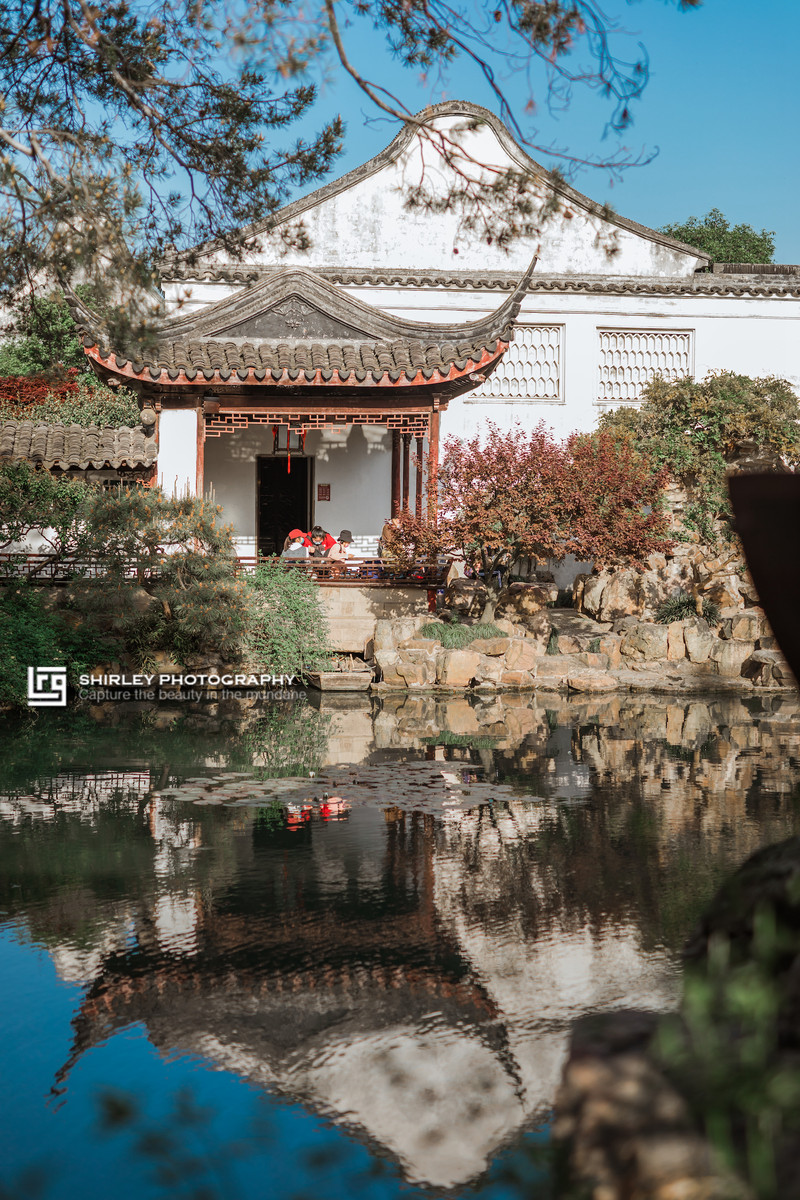 苏州旅游最不能错过的江南园林,留园拙政园是苏州著名的园林