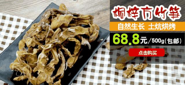 贵州省桐梓县马鬃乡竹笋,桐梓新鲜方竹笋基地