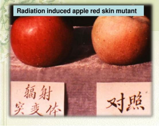 什么是核辐射技术,核辐射技术的基本原理