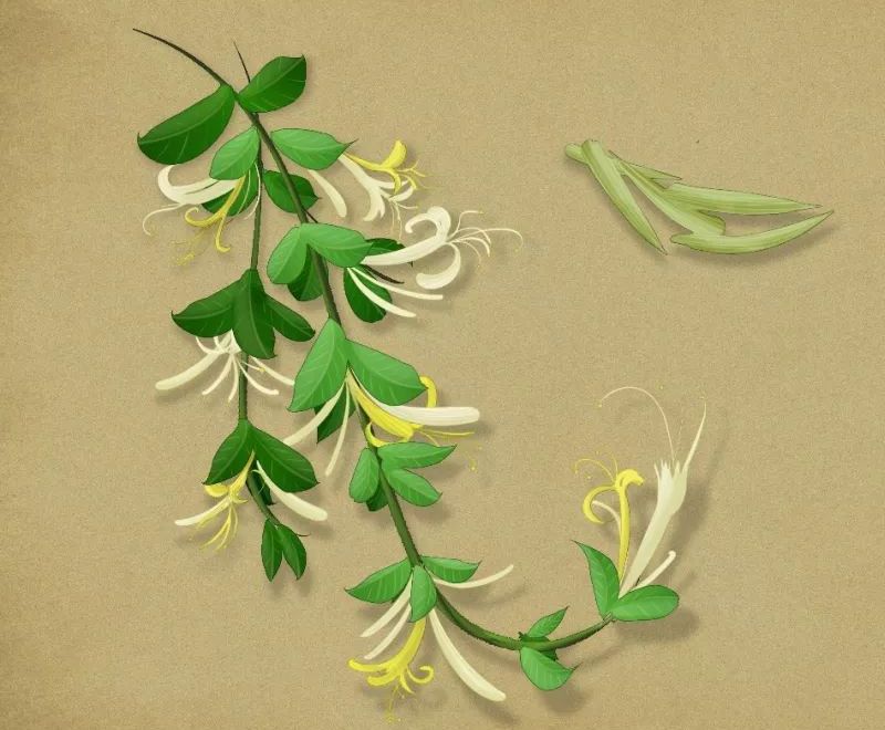 经常熬夜玩手机眼睛会变小吗,每天熬夜玩手机眼睛发黄