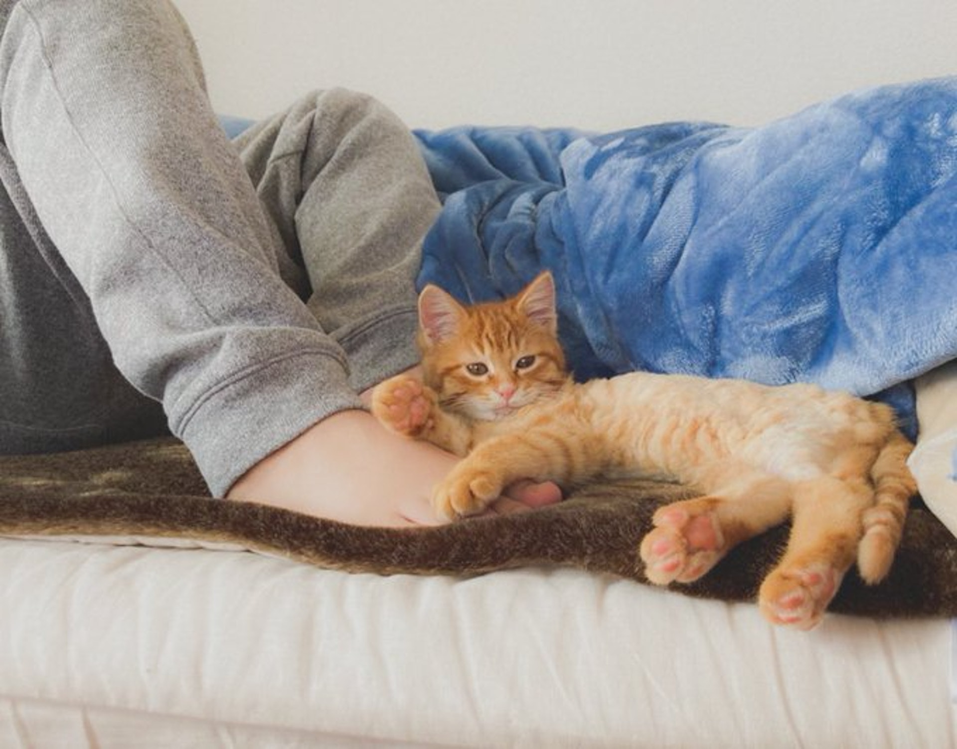 猫咪被困通风井六天救出来,猫咪被困男孩踮脚救助