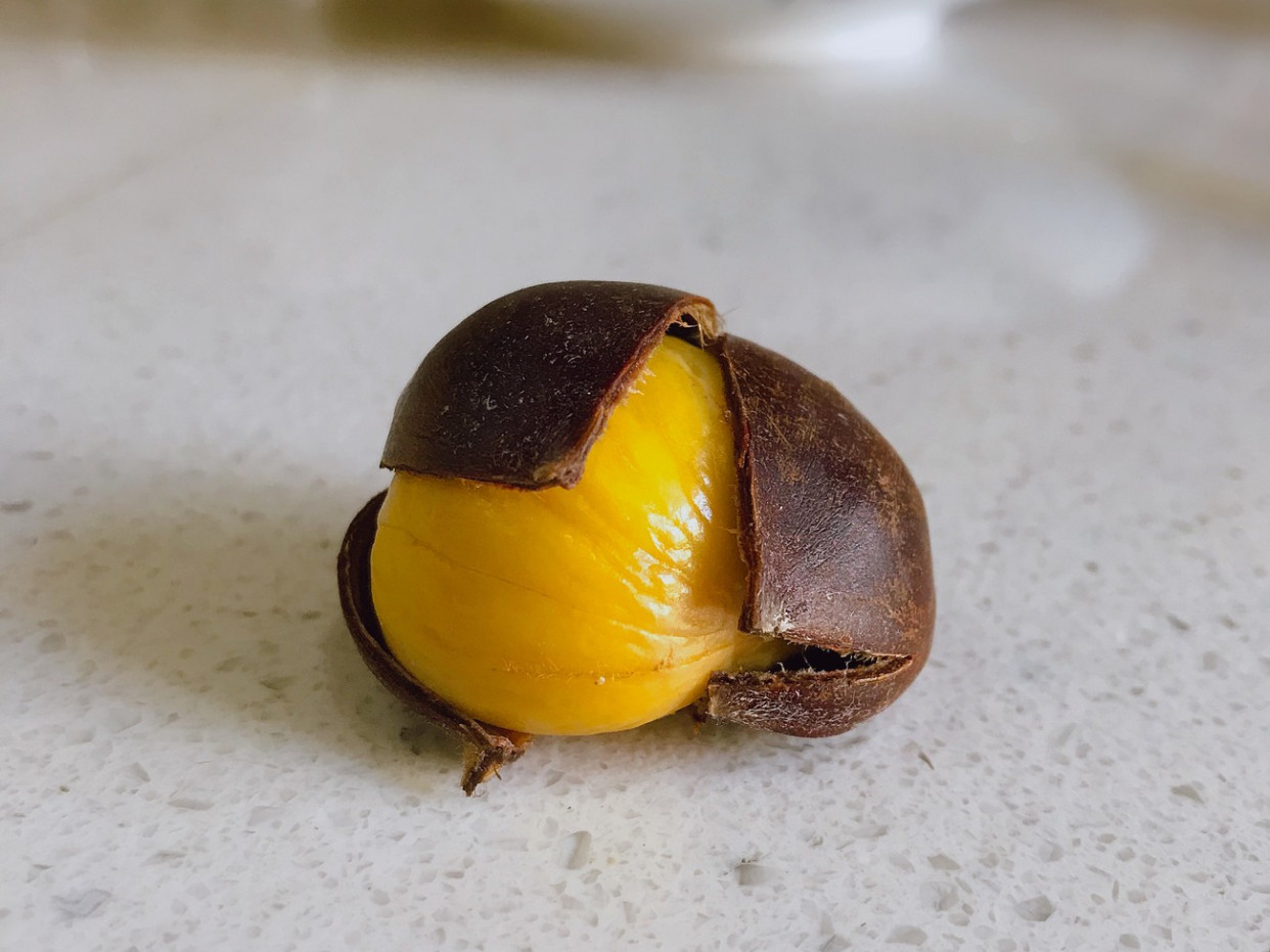 板栗去壳怎么才能快速剥皮,板栗怎么快速剥皮不需要任何工具