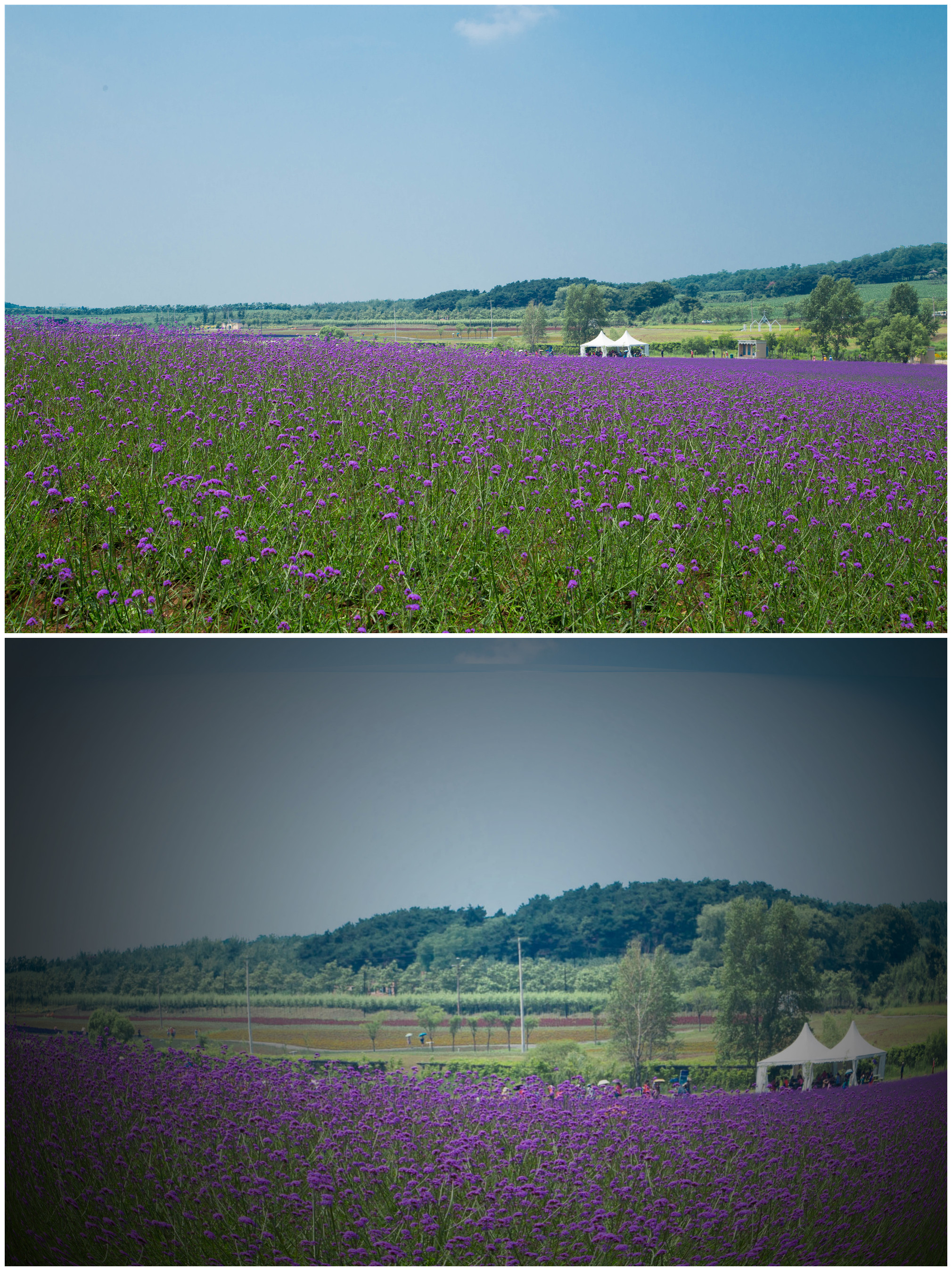 鱼眼镜头视频教程,鱼眼镜头设置标准镜头