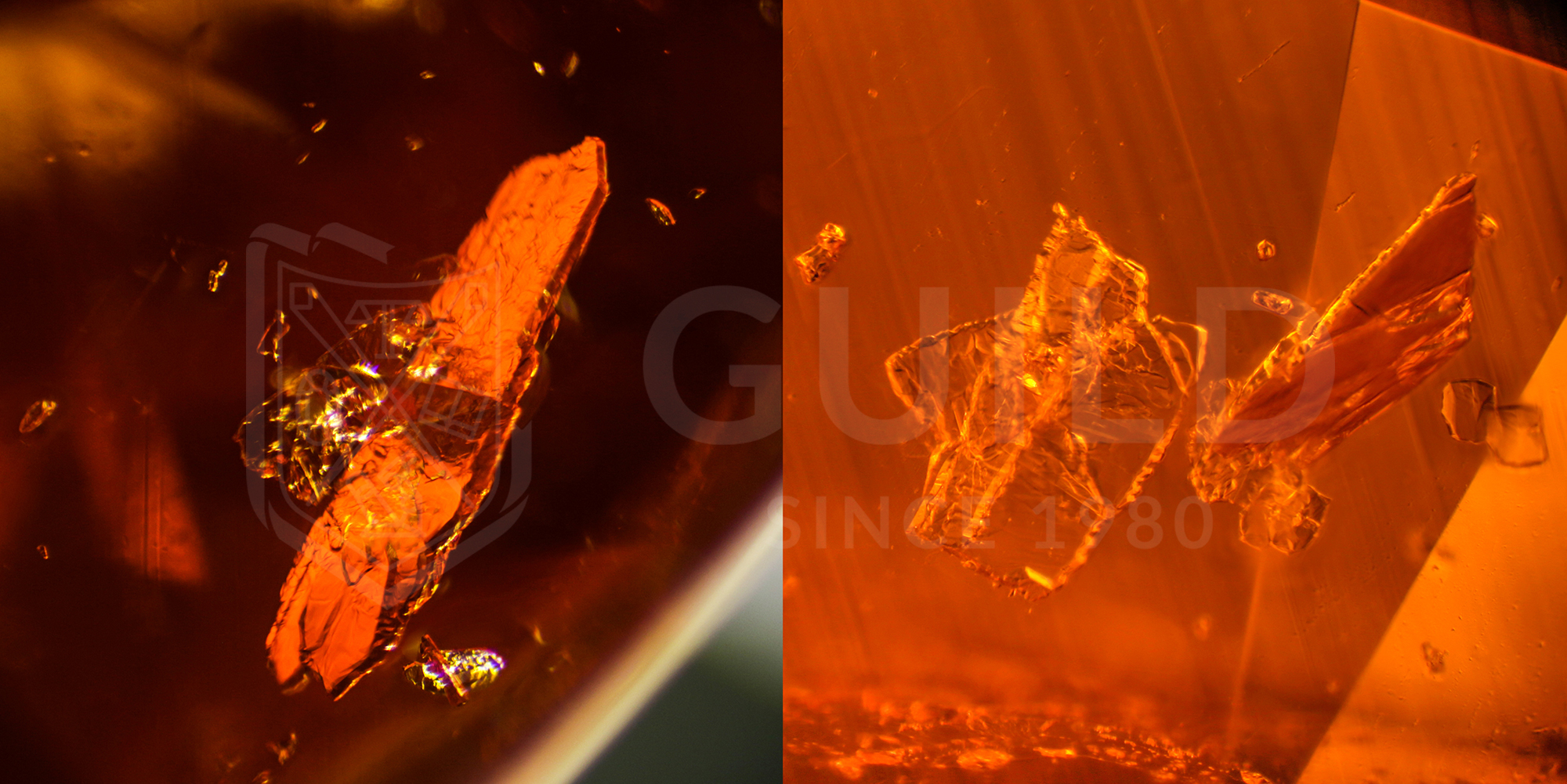 芬达乐趣,芬达清亮音色