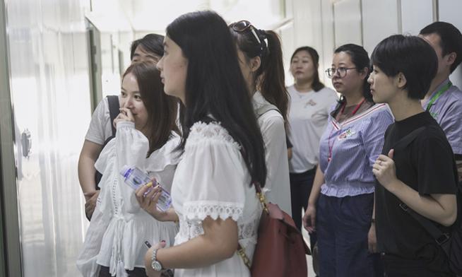 小宠见证之旅完整视频,小宠用品工厂