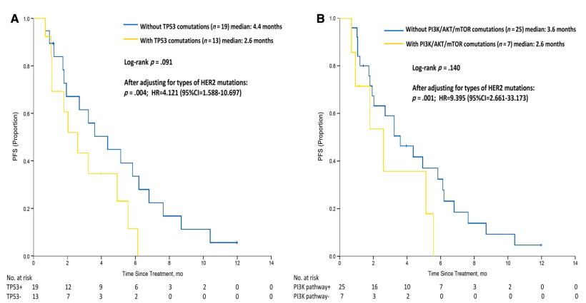 her2肺癌靶向药入集采了吗,肺癌her2靶向药治愈率