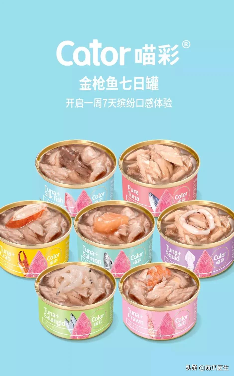 如何促使猫咪喝水,猫咪喜欢喝水吗