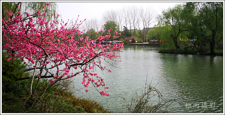 扬州夏日的瘦西湖风景,三月的扬州瘦西湖