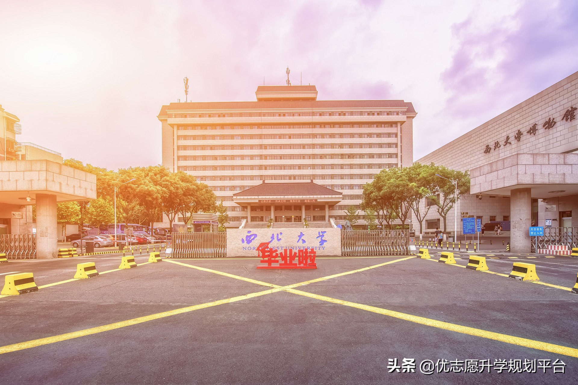 考古冷门专业是不是体现人各有志,挖掘文物学什么专业