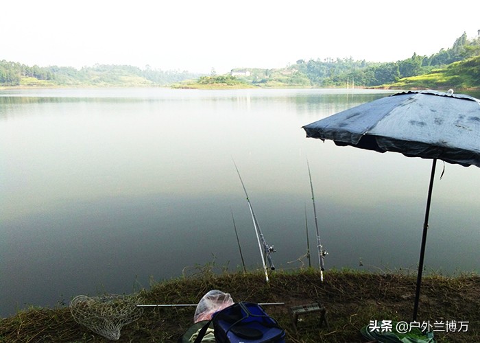 钓鱼人怎么注意哪些鱼不能钓,经常钓不住大鱼