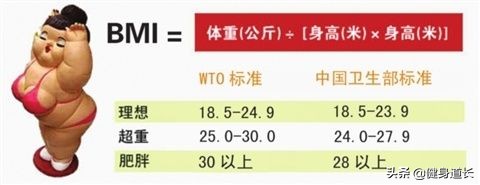 身体成分测试在哪里测试,如何测身体成分