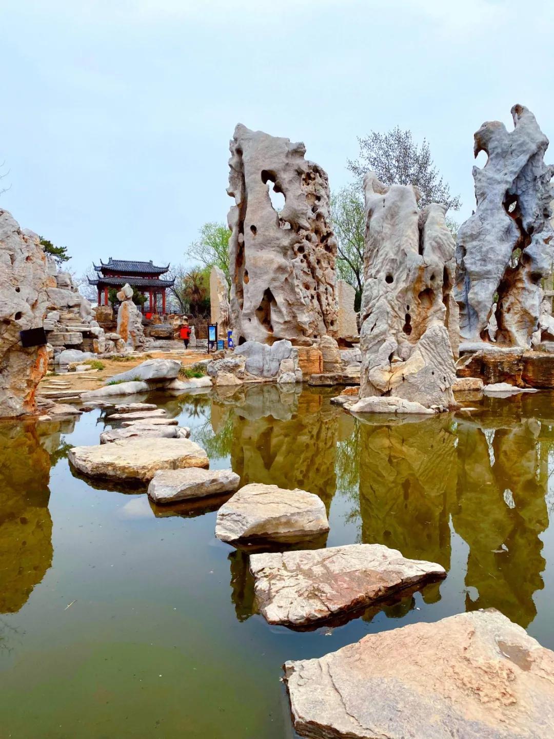 聊城姜堤乐园的门票是多少钱,姜堤乐园玻璃桥