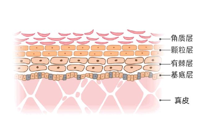 军训后要被晒成碳？史上最强晒后修复攻略，让你快速白回来