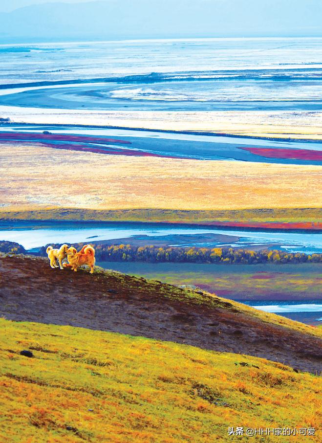 若尔盖大草原人间天堂,若尔盖大草原真美