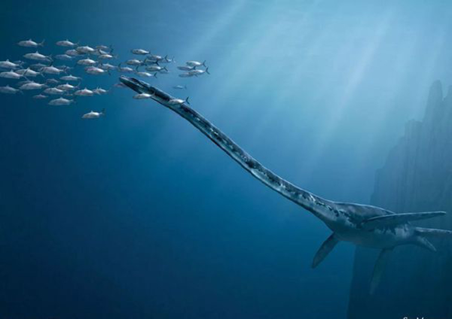 古生物大小和人类对比,古生物与人类对比大小