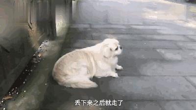 b站必看的综艺,b站能看的综艺推荐