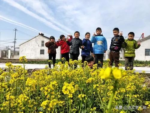 劳动体验作文,印象最深的劳动作文