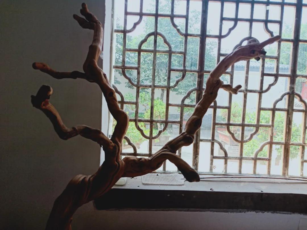 一大波美图即将来袭,一组美照来袭