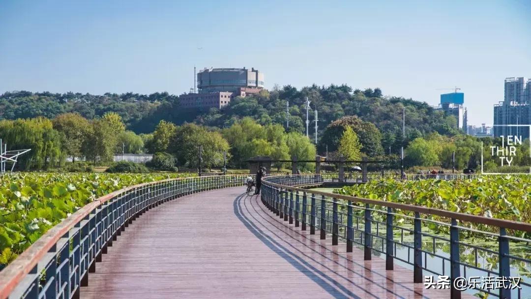 原来武汉有这么多好玩的打卡地,武汉周边新晋7大网红打卡地