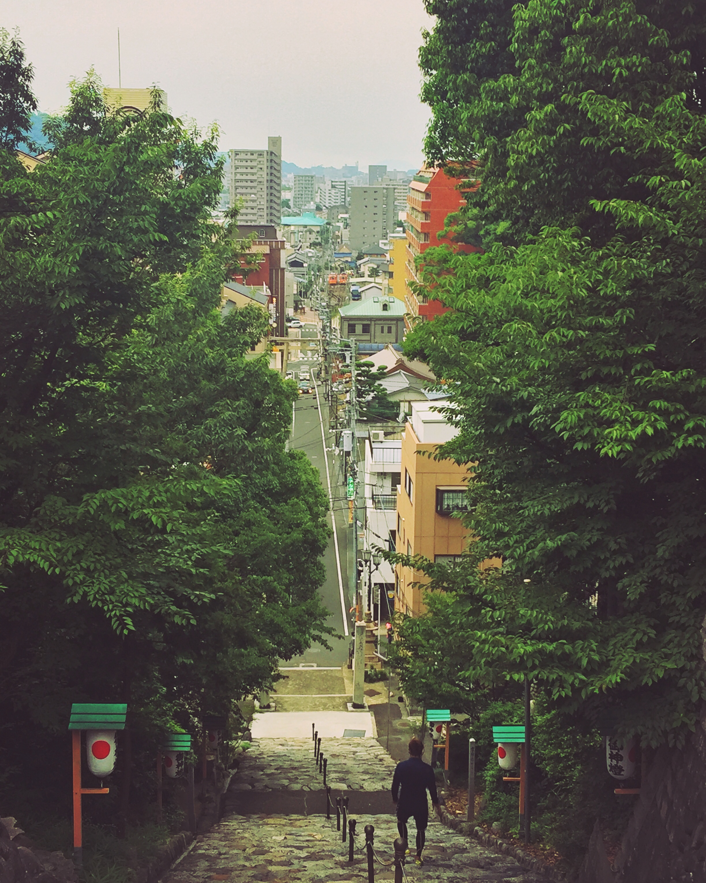 日本能穷游吗,日本旅游可以自由行吗现在