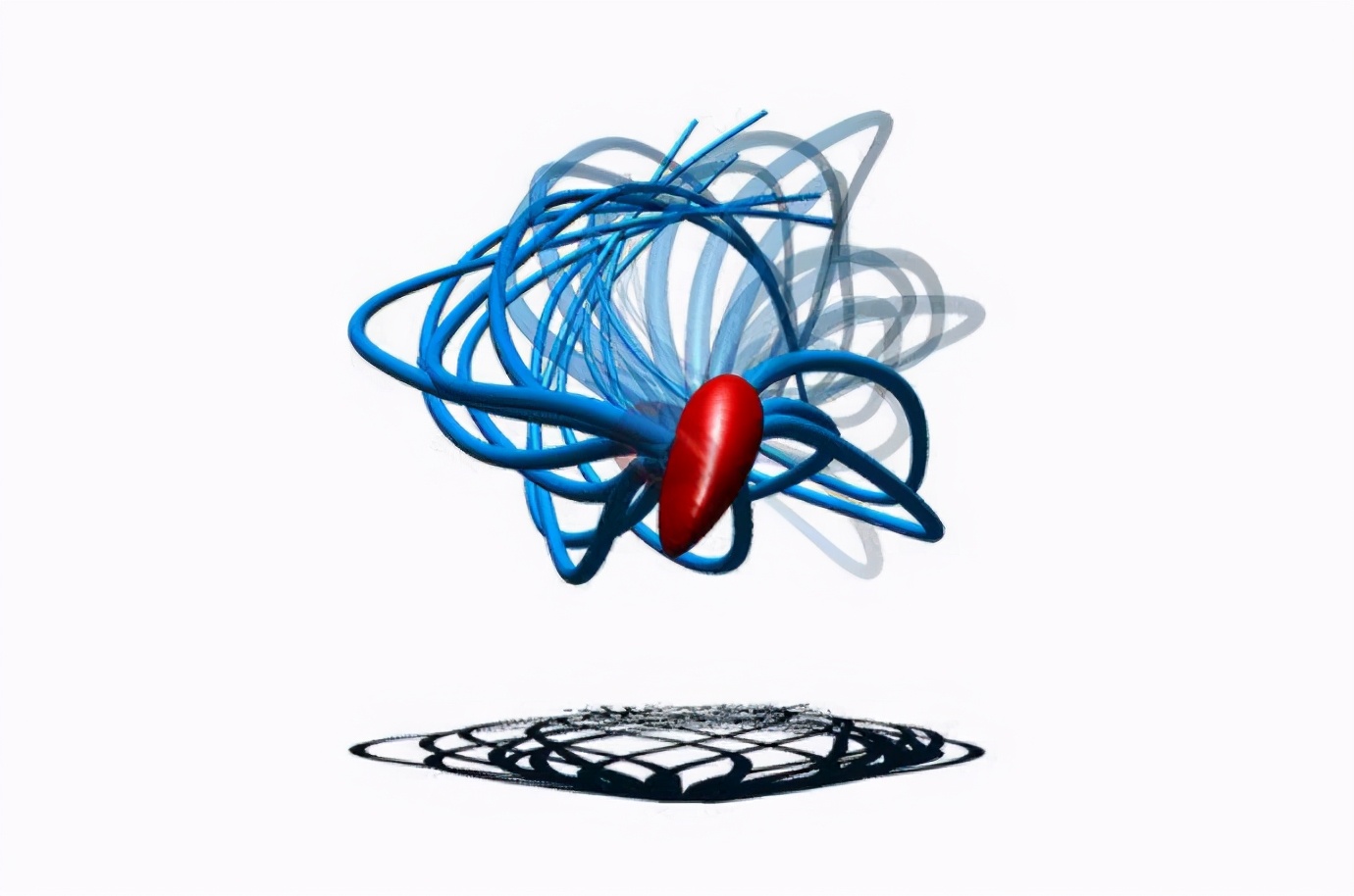 科学家发现精子运动规律,科学家们首次发现精子的运动规律