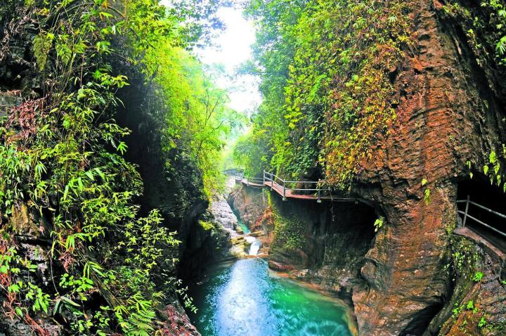 重庆怎么玩最合理景点推荐,重庆攻略一天怎么玩舒服