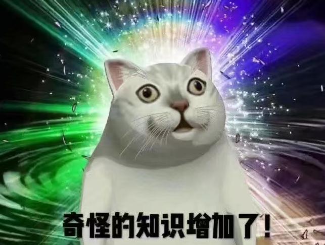 一双TSDunk三个月不发货，一盒小熊饼干就想安抚我内心的伤痛？