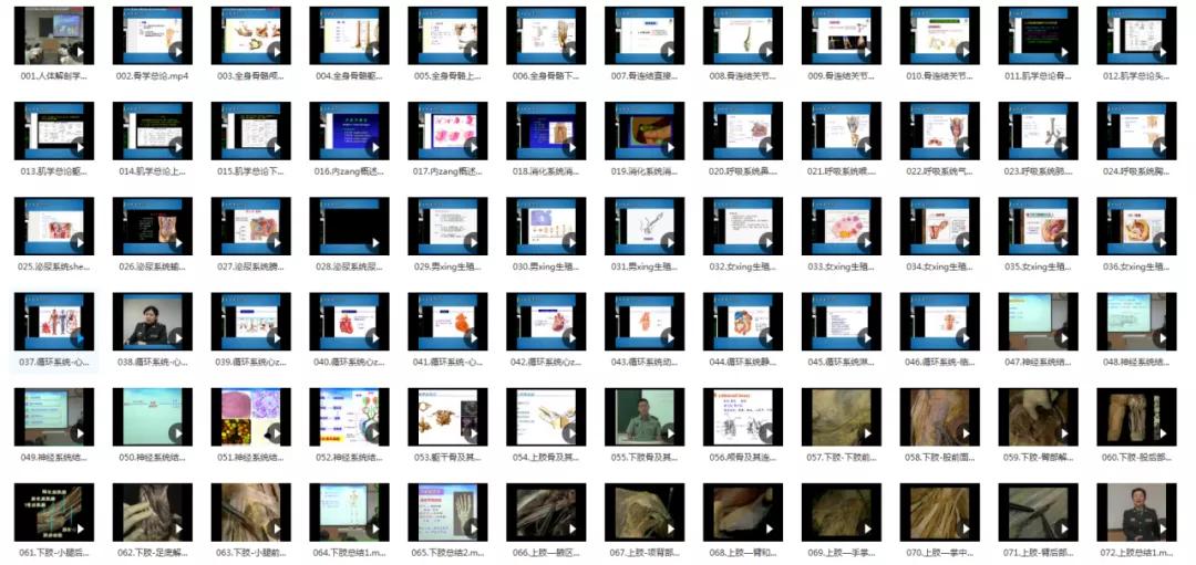 210G解剖学视频，包含系统、断层、运动、人体和局部解剖学