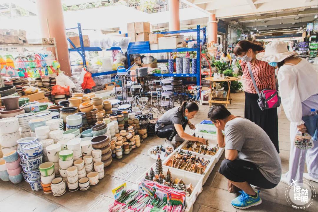 逛花卉市场赏心悦目,逛花鸟市场的快乐