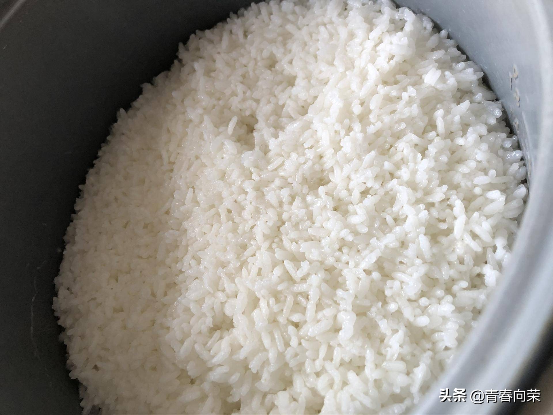 脱（降）糖电饭煲，是伪科学？一文评测彻底看清