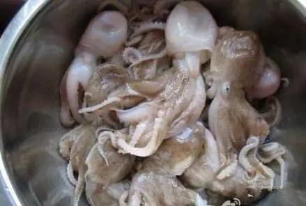 中国海鲜河鲜,市场河鲜海鲜种类大全