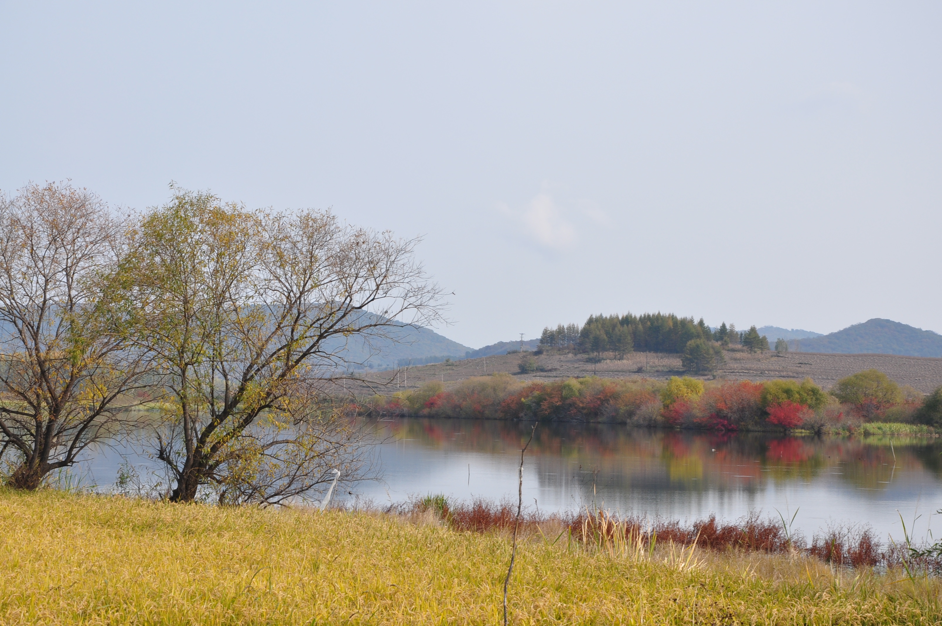 自驾西北行游记,我的西北边境自驾旅行日记