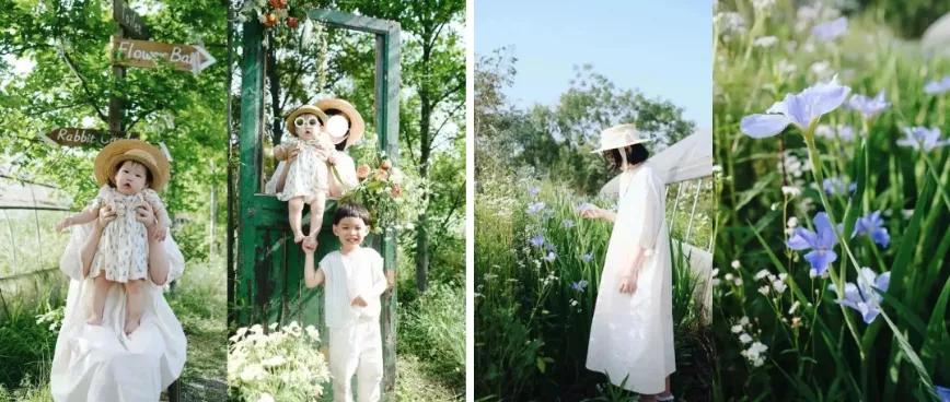 最会说情话的人全集,最会说情话的人