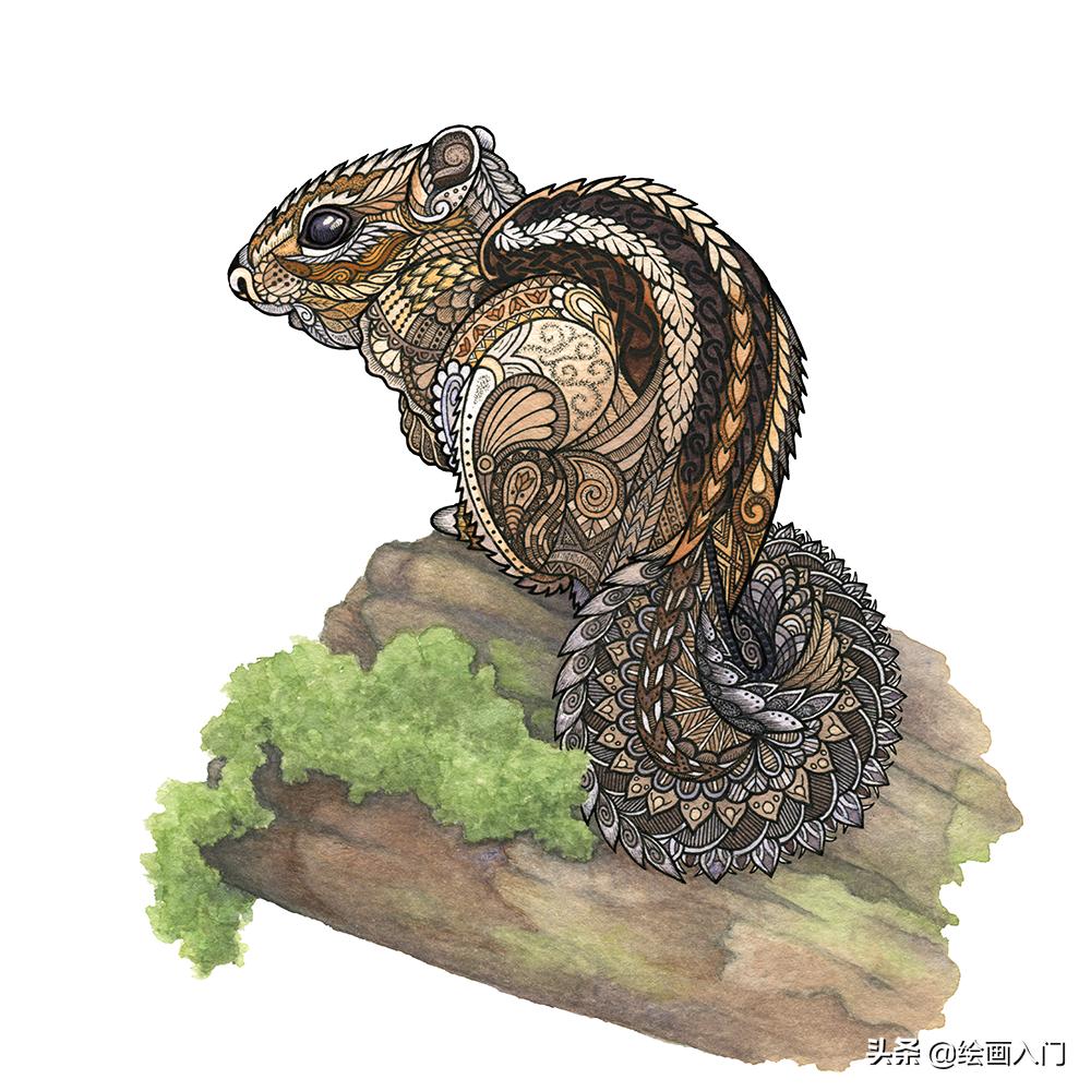 复古气息的几何图形插画,插画师的动物花卉水彩插画作品