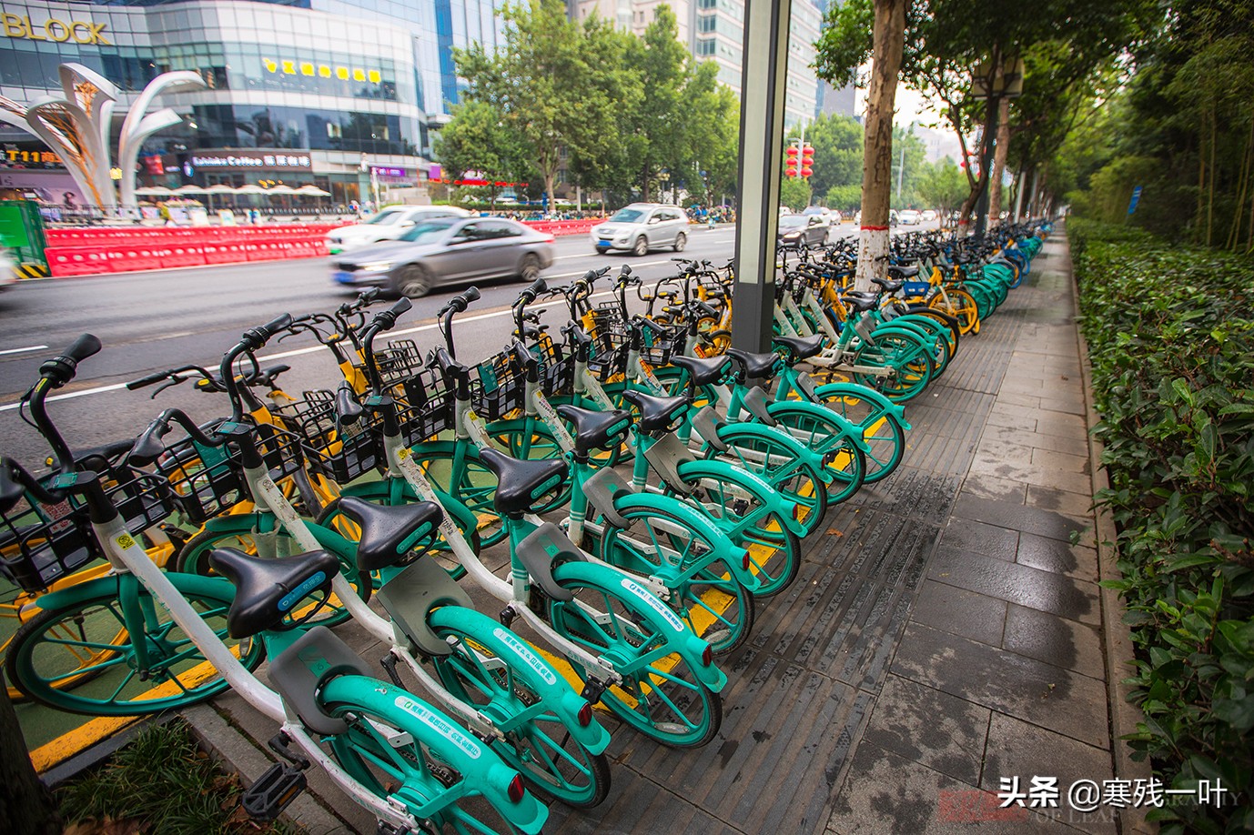 大度的西安，成公共自行车在国内发展最好的城市，全城人都在骑