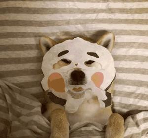 什么面膜要三千多块,什么面膜200块一片