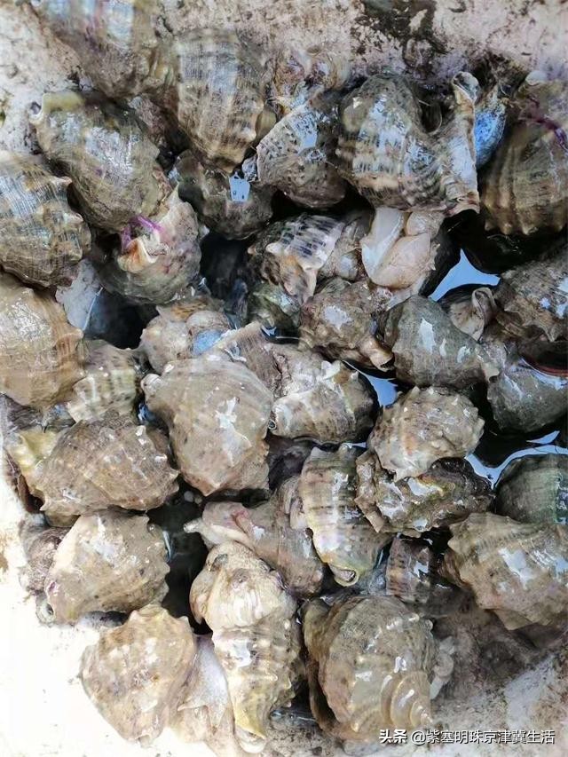 乐亭韩姐农家院价格,天津蓟县乐亭韩姐农家院