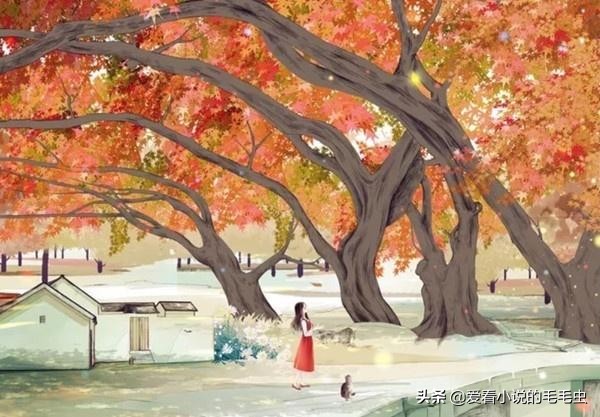 逆袭的现言宠文小说,5本新完结高质量现言甜宠文